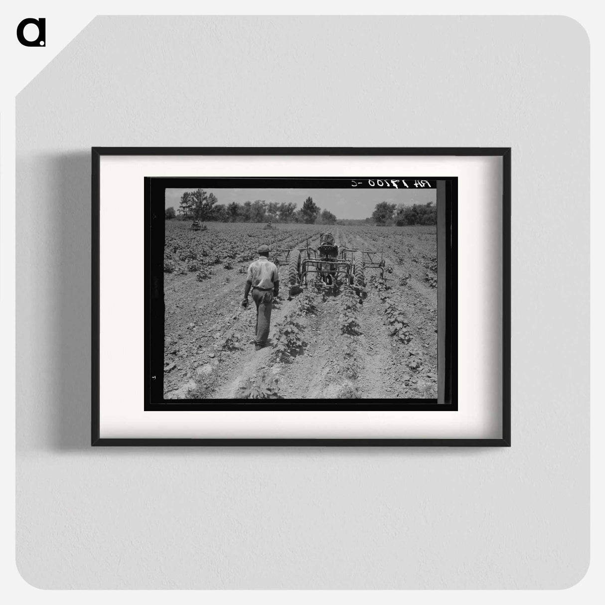 Tractor operator on the Aldridge Plantation near Leland Mississippi - ドロテア ラング Poster.