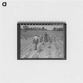 アートメモ帳-Tractor operator on the Aldridge Plantation near Leland Mississippi - ドロテア ラング Memo.