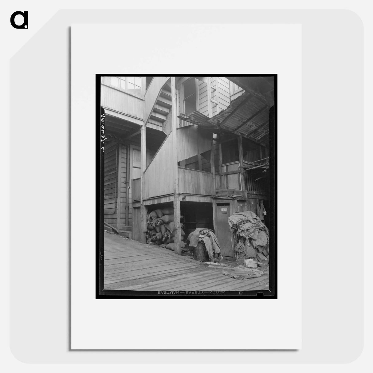 Backyard. North Beach District (Italians). San Francisco, California. - Dorothea Lange Poster.