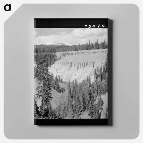アートパネル-Annie Creek Canyon
 - ラッセル リー Canvas.