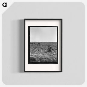 アートポスター-Untitled photo, possibly related to: Pea pickers near Calipatria, California - ドロテア ラング Poster.