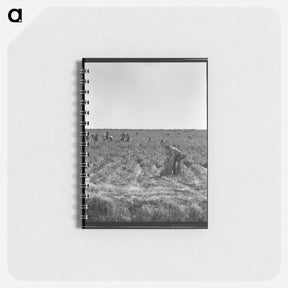アートメモ帳-Untitled photo, possibly related to: Pea pickers near Calipatria, California - ドロテア ラング Memo.