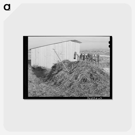 アートポストカード-Shed of a Beginning Farmer
 - ラッセル リー Postcard.