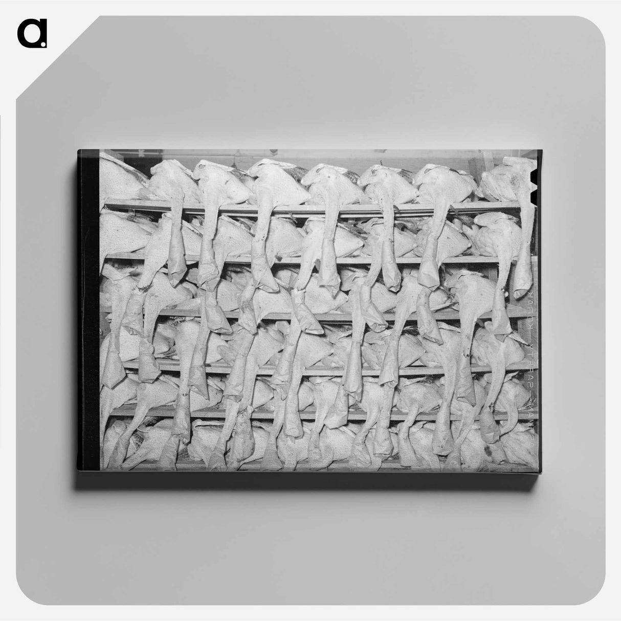 アートパネル-Turkeys Awaiting Shipment
 - ラッセル リー Canvas.