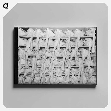 アートパネル-Turkeys Awaiting Shipment
 - ラッセル リー Canvas.