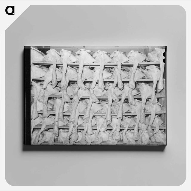 アートパネル-Turkeys Awaiting Shipment
 - ラッセル リー Canvas.