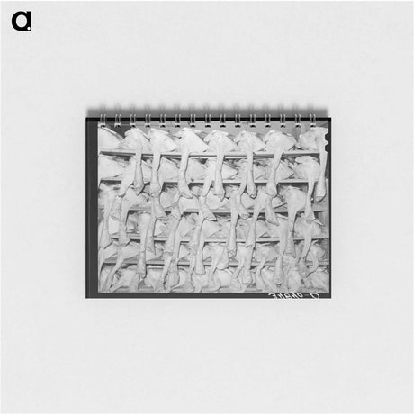 アートメモ帳-Turkeys Awaiting Shipment
 - ラッセル リー Memo.