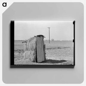 アートパネル-Straw Privy, Texas
 - ラッセル リー Canvas.