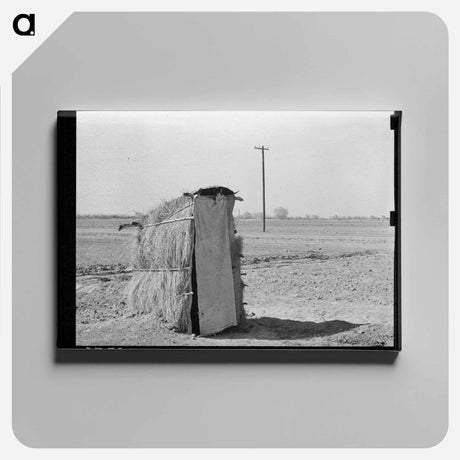 アートパネル-Straw Privy, Texas
 - ラッセル リー Canvas.