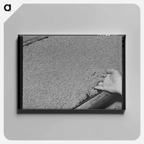 アートパネル-Guayule Rubber Production
 - ラッセル リー Canvas.