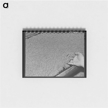 アートメモ帳-Guayule Rubber Production
 - ラッセル リー Memo.