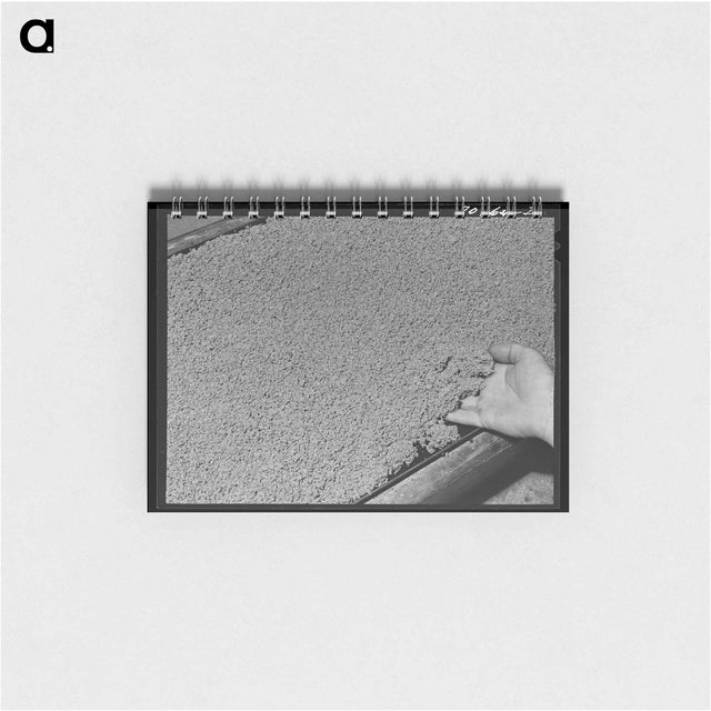 アートメモ帳-Guayule Rubber Production
 - ラッセル リー Memo.