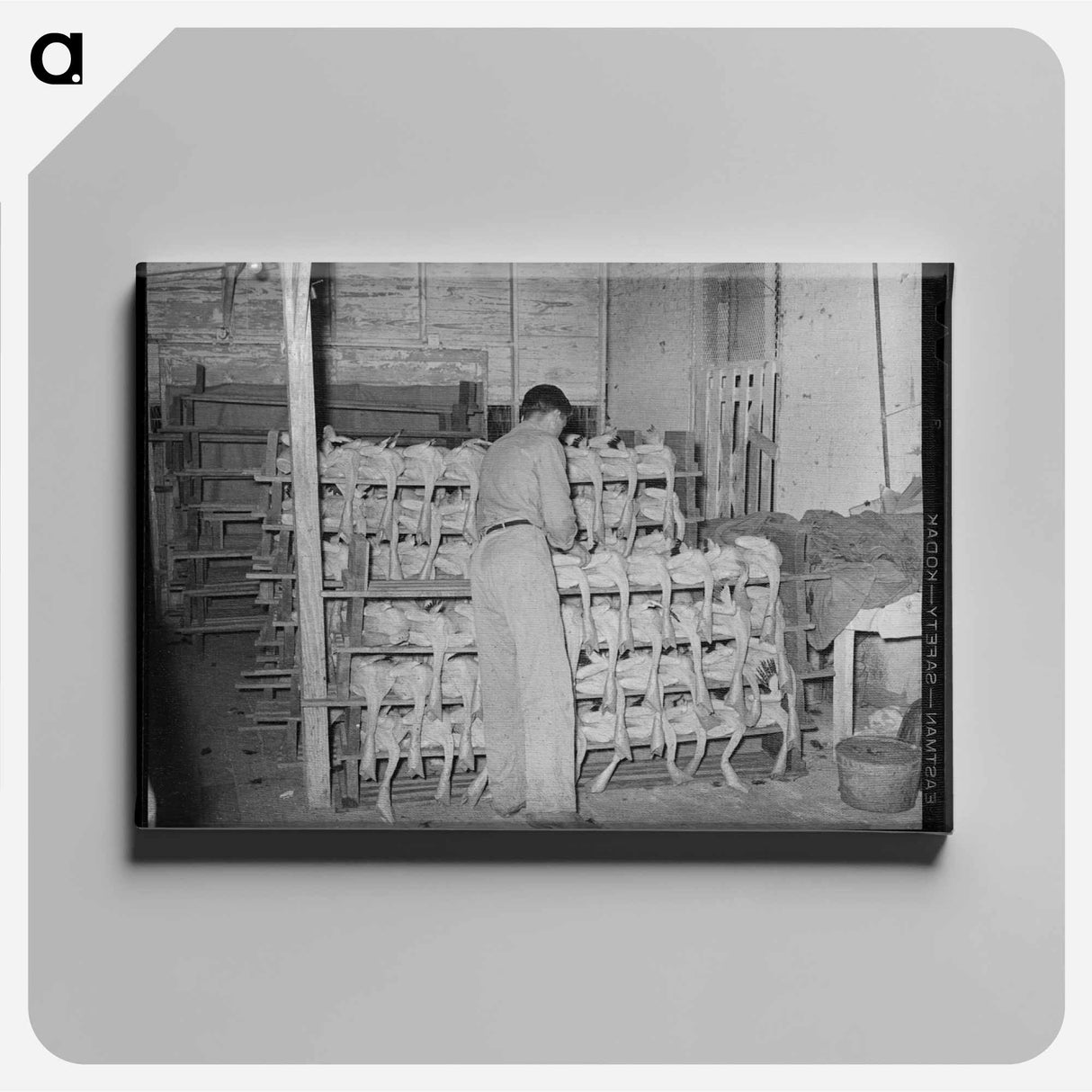 アートパネル-Piling Picked Turkeys
 - ラッセル リー Canvas.