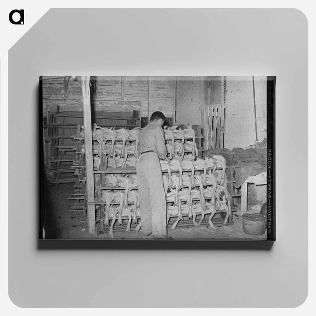 アートパネル-Piling Picked Turkeys
 - ラッセル リー Canvas.