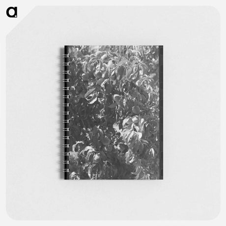 アートメモ帳-Fruit Pickers
 - ラッセル リー Memo.