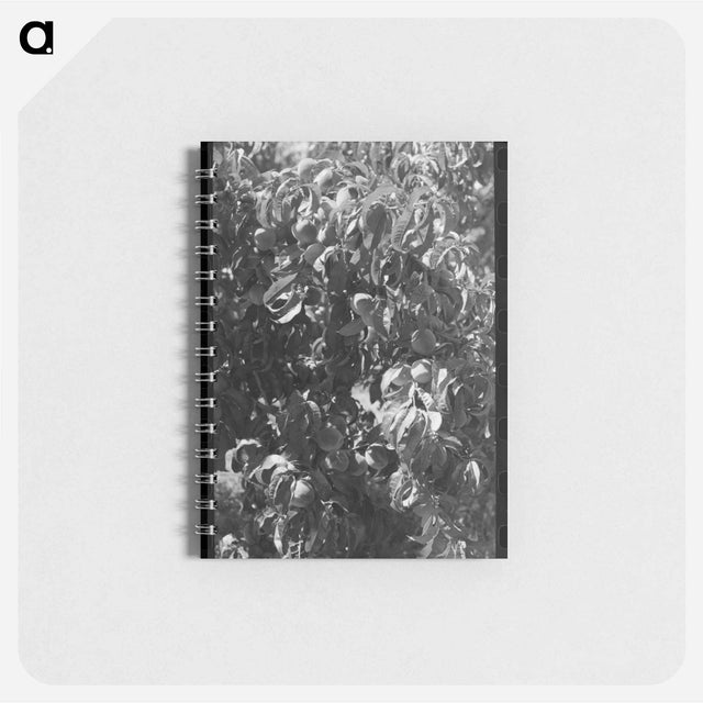 アートメモ帳-Fruit Pickers
 - ラッセル リー Memo.