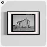 Untitled photo, possibly related to: An abandoned tenant cabin of the Mississippi Delta - Dorothea Lange Poster.