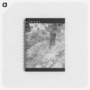 アートメモ帳-Untitled photo - ドロテア ラング Memo.