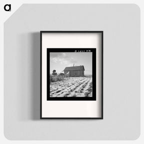 アートポスター-Widtsoe farm home - ドロテア ラング Poster.