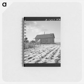 アートメモ帳-Widtsoe farm home - ドロテア ラング Memo.
