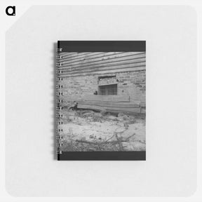 アートメモ帳-Untitled photo - ドロテア ラング Memo.