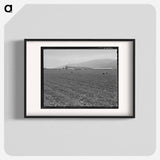 Untitled photo, possibly related to: Spreckels sugar factory and sugar beet field with Mexican and Filipino workers thinning sugar beets. - Dorothea Lange Poster.