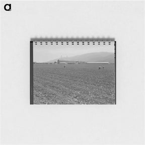 アートメモ帳-Untitled photo, possibly related to: Spreckels sugar factory and sugar beet field with Mexican and Filipino workers thinning sugar beets. - ドロテア ラング Memo.