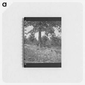 アートメモ帳-Untitled photo - ドロテア ラング Memo.