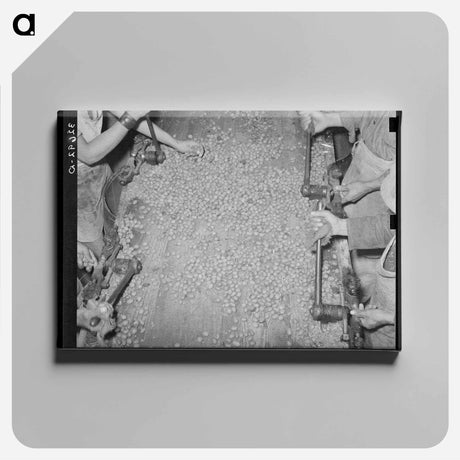 アートパネル-Mexican Pecan Shellers
 - ラッセル リー Canvas.