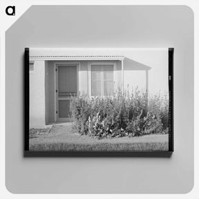 アートパネル-Arizona Farms Entrance
 - ラッセル リー Canvas.