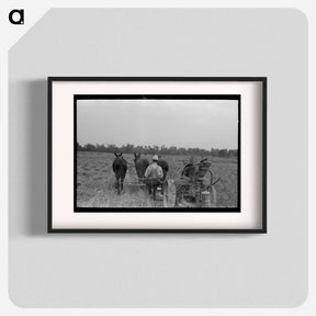 アートポスター-Cutting Hay, Lake Dick Project
 - ラッセル リー Poster.