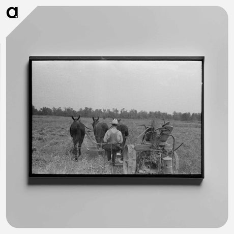 アートパネル-Cutting Hay, Lake Dick Project
 - ラッセル リー Canvas.