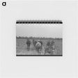 アートメモ帳-Cutting Hay, Lake Dick Project
 - ラッセル リー Memo.