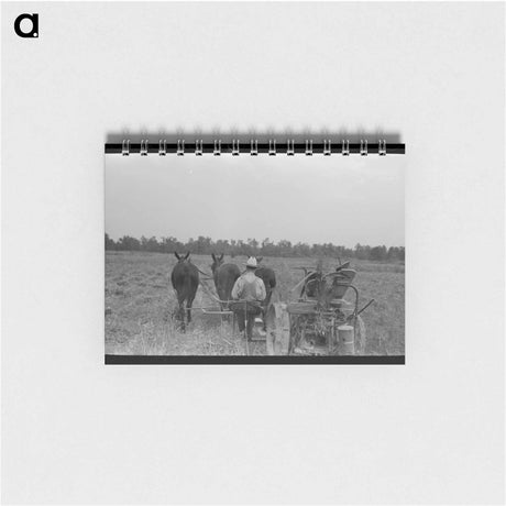 アートメモ帳-Cutting Hay, Lake Dick Project
 - ラッセル リー Memo.