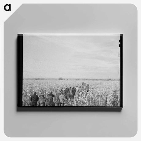 アートパネル-Cornhusking Contest
 - ラッセル リー Canvas.