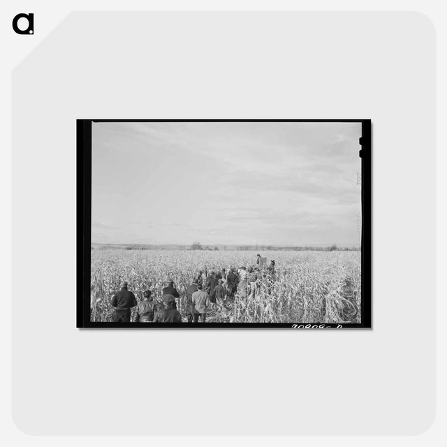 アートポストカード-Cornhusking Contest
 - ラッセル リー Postcard.
