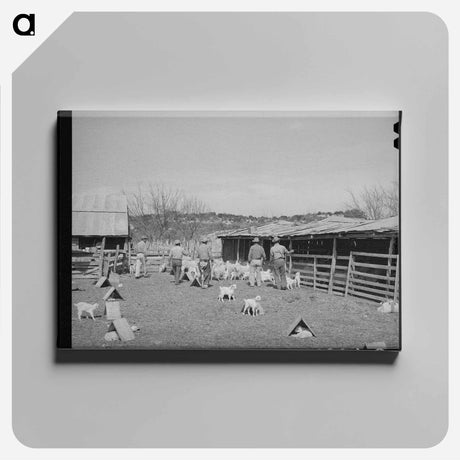 アートパネル-Goat Shearers of Junction
 - ラッセル リー Canvas.