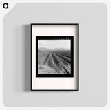 Freshly-plowed sugar beet field near King City - Dorothea Lange Poster.