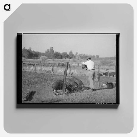 アートパネル-Feeding Unmarketable Pears to Hogs
 - ラッセル リー Canvas.
