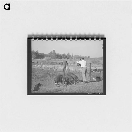 アートメモ帳-Feeding Unmarketable Pears to Hogs
 - ラッセル リー Memo.