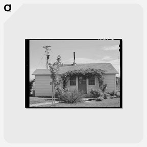 アートポストカード-FSA Farm Workers' Housing
 - ラッセル リー Postcard.