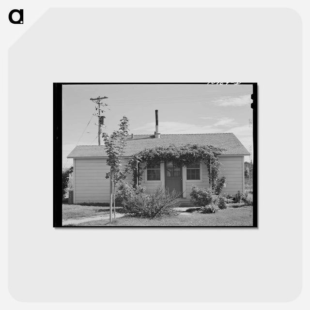 アートポストカード-FSA Farm Workers' Housing
 - ラッセル リー Postcard.