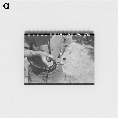 アートメモ帳-Pinos Altos Prospector
 - ラッセル リー Memo.