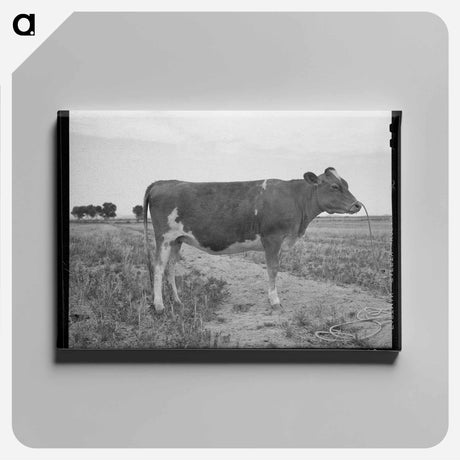 アートパネル-A Great Guernsey
 - ラッセル リー Canvas.