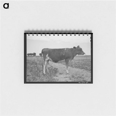 アートメモ帳-A Great Guernsey
 - ラッセル リー Memo.