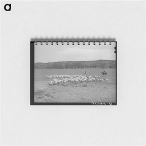 アートメモ帳-Ranchman and Goats
 - ラッセル リー Memo.