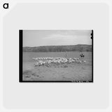 アートポストカード-Ranchman and Goats
 - ラッセル リー Postcard.