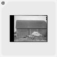 アートポストカード-Barnyard Scene
 - ラッセル リー Postcard.