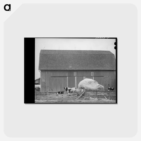 アートポストカード-Barnyard Scene
 - ラッセル リー Postcard.