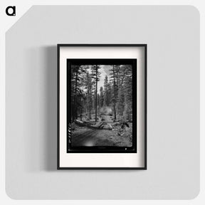 アートポスター-Logging in Malheur National Forest
 - ラッセル リー Poster.